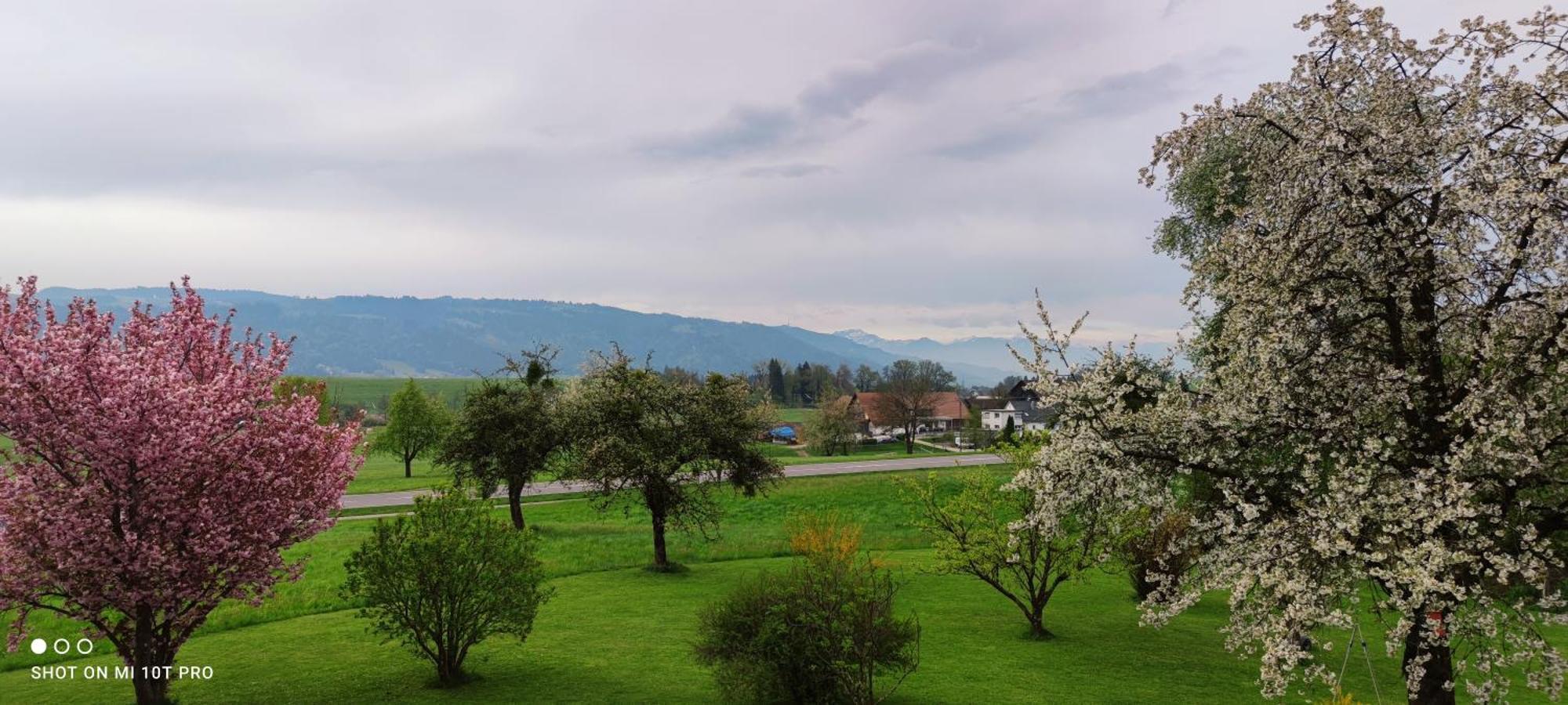 Gaestehaus Fechtig Hergensweiler Zewnętrze zdjęcie